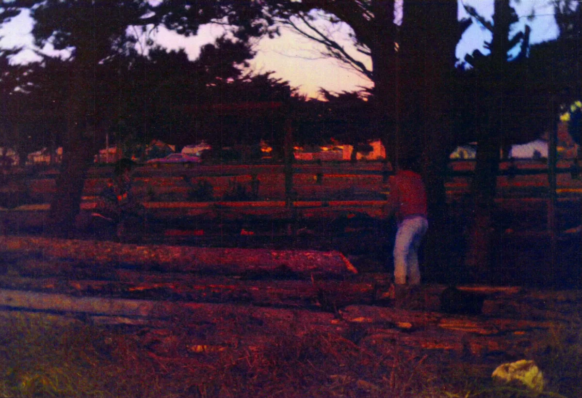 acopiando madera en sitio de ASOGREMA — Punta Arenas — 1990 | Chile de Ayer