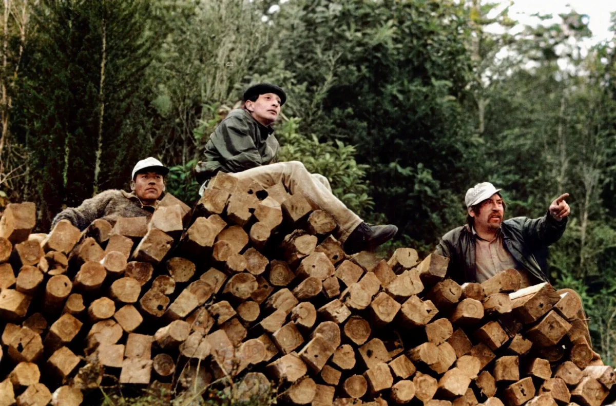 Sobre postes de ciprés en campo sector Angamos — Caleta Tortel — 2005 | Chile de Ayer