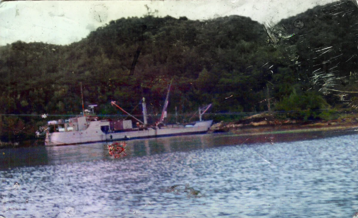 Barcaza maderera — Puerto Yungay — aprox. 1983 | Chile de Ayer