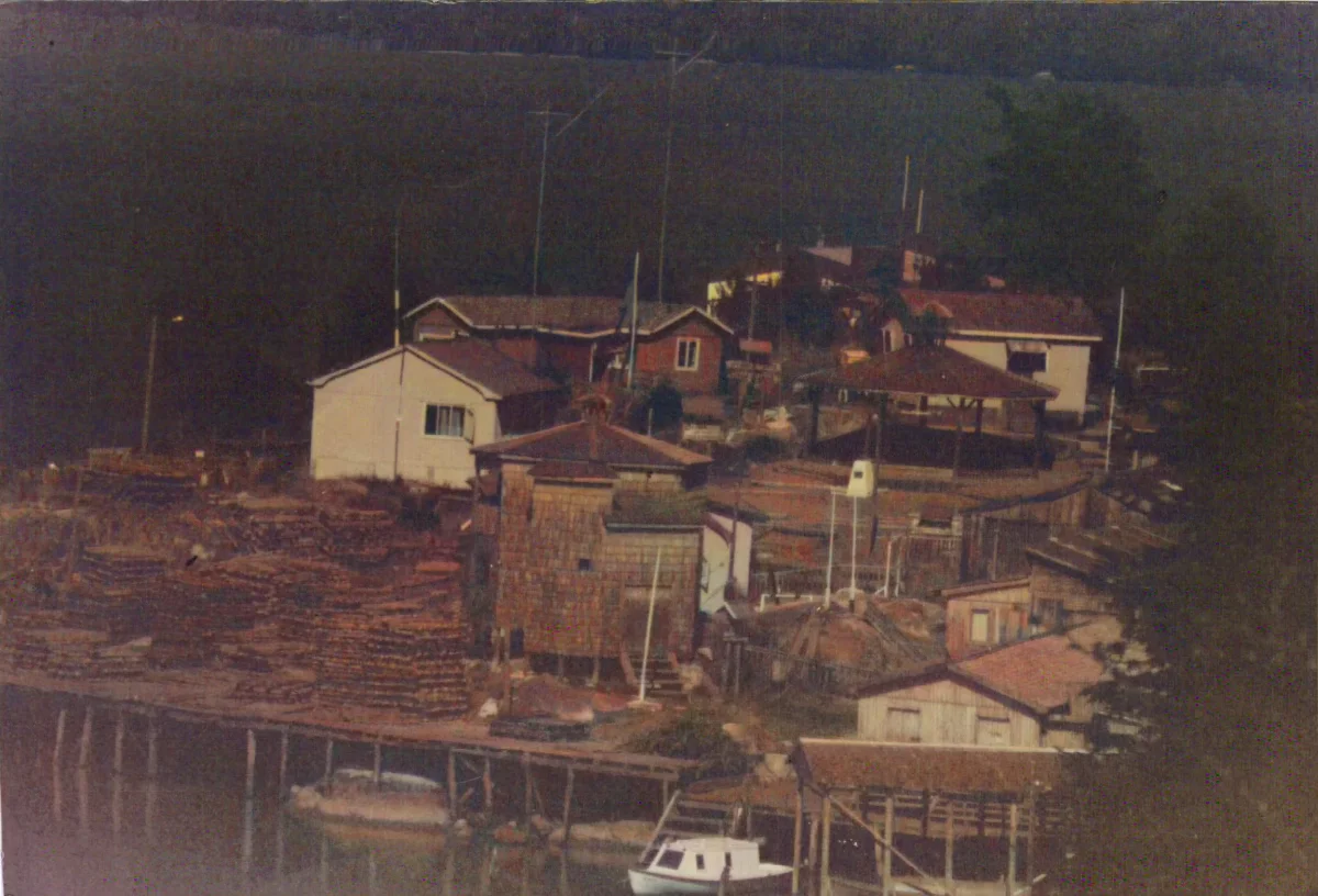vista de tortel — Caleta Tortel — aprox. 1986 | Chile de Ayer