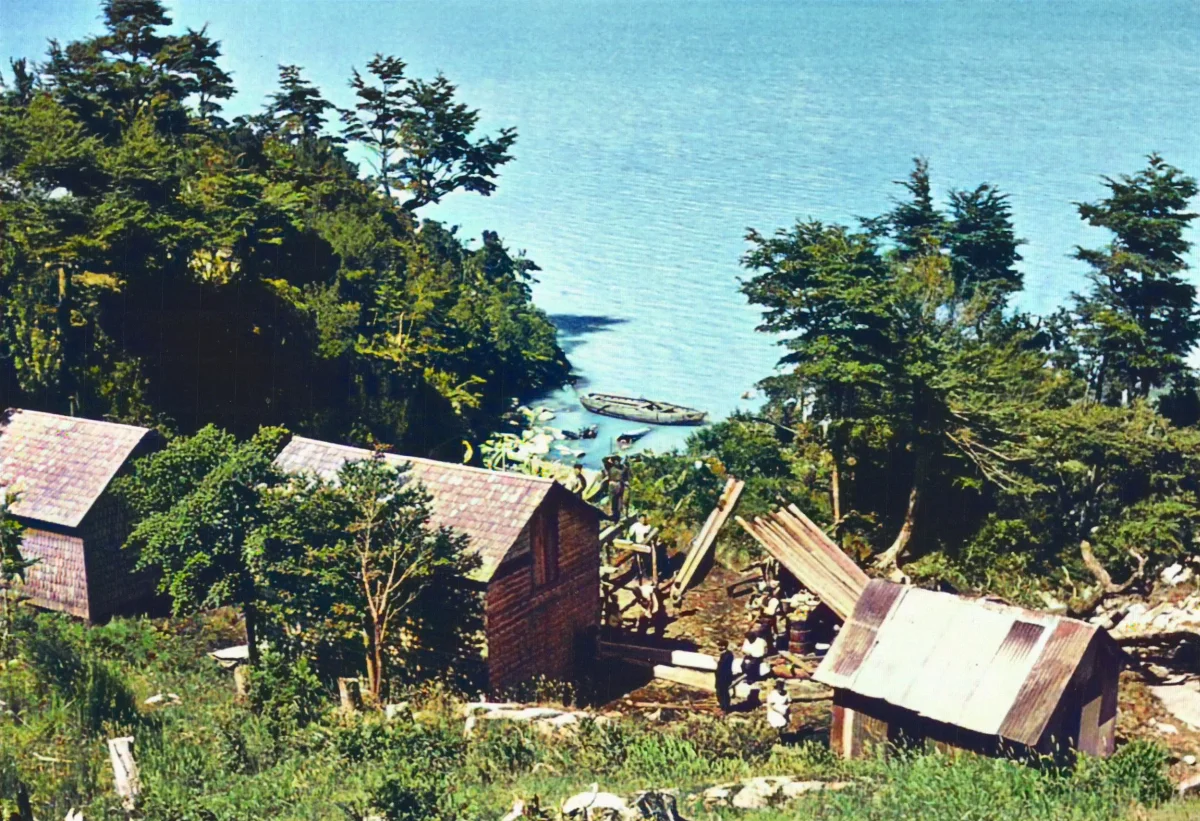 Casas y Minga Construccion — Caleta Tortel — 1963 | Chile de Ayer
