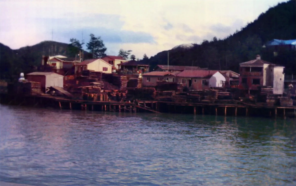 Castillos de ciprés en sector centro — Caleta Tortel — 1988 | Chile de Ayer