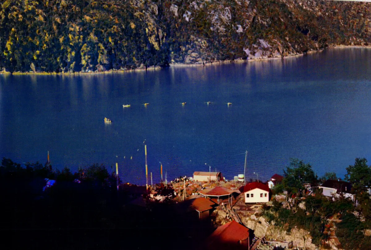 foto panoramica, funeral en procesion en bote por bahia — Caleta Tortel — 1990 | Chile de Ayer