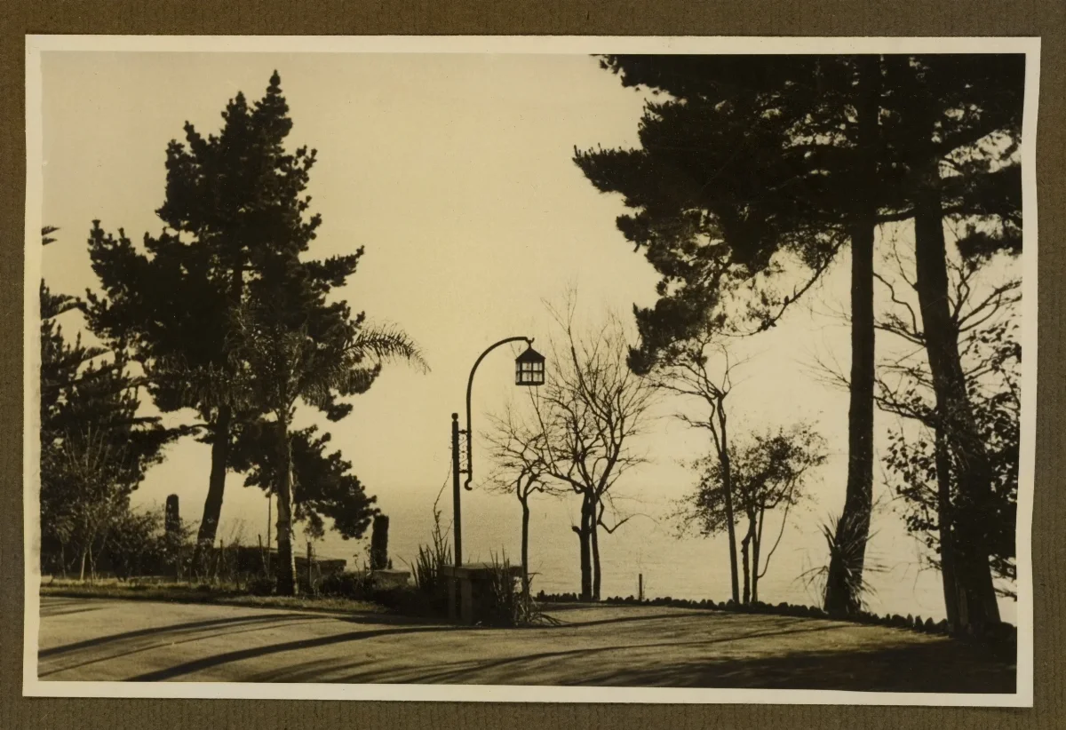 Paseo arbolado en Viña del Mar — Viña del Mar — 1940 | Chile de Ayer