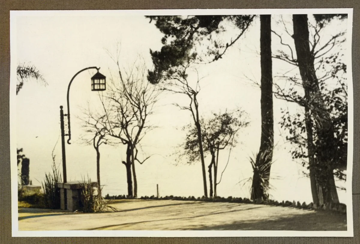 Paseo arbolado en Viña del Mar — Viña del Mar — 1940 | Chile de Ayer