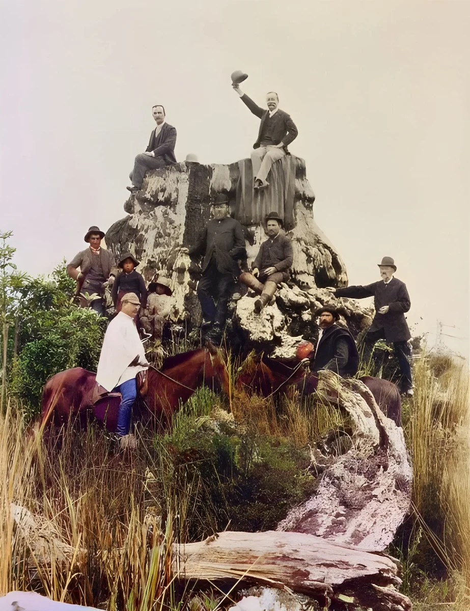 Posando sobre el Tocón de Alerce, La Vara en 1893. — 1893 | Chile de Ayer