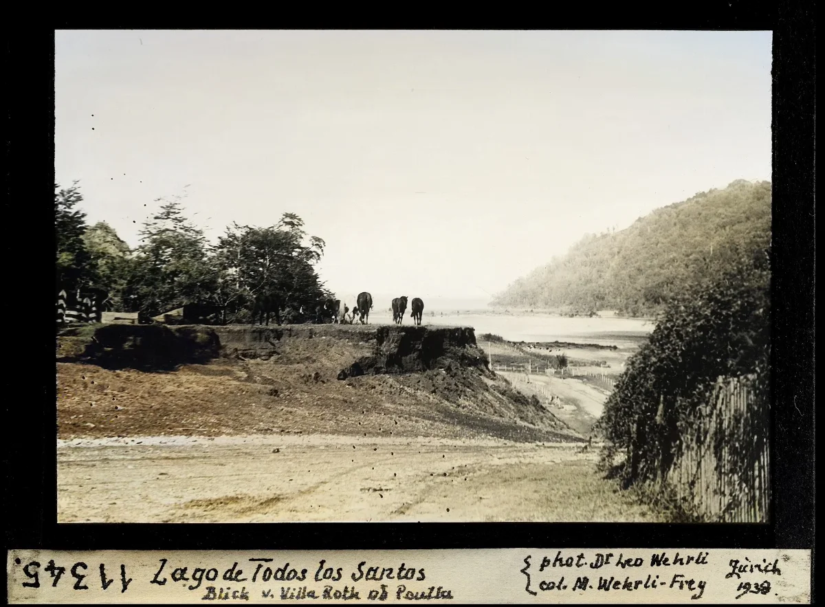 Lago de Todos los Santos, Blick v. Villa Roth ab Peulla — 1938 | Chile de Ayer