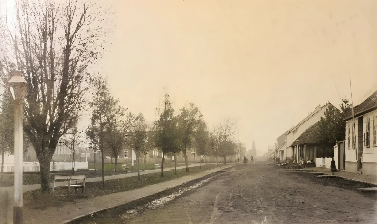 Osorno, Calle Mackenna, 1893. — 1893 | Chile de Ayer