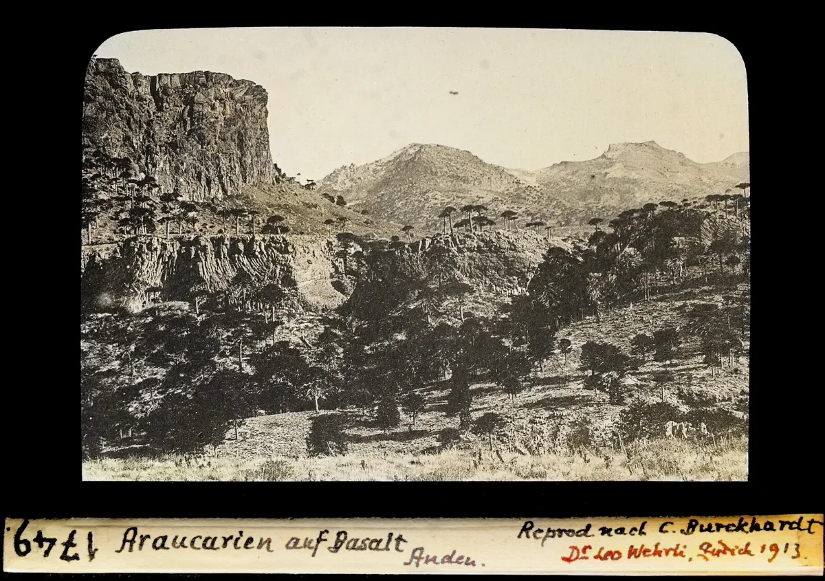 Araucanía en Basalt Anden — aprox. 1913–1940 | Chile de Ayer