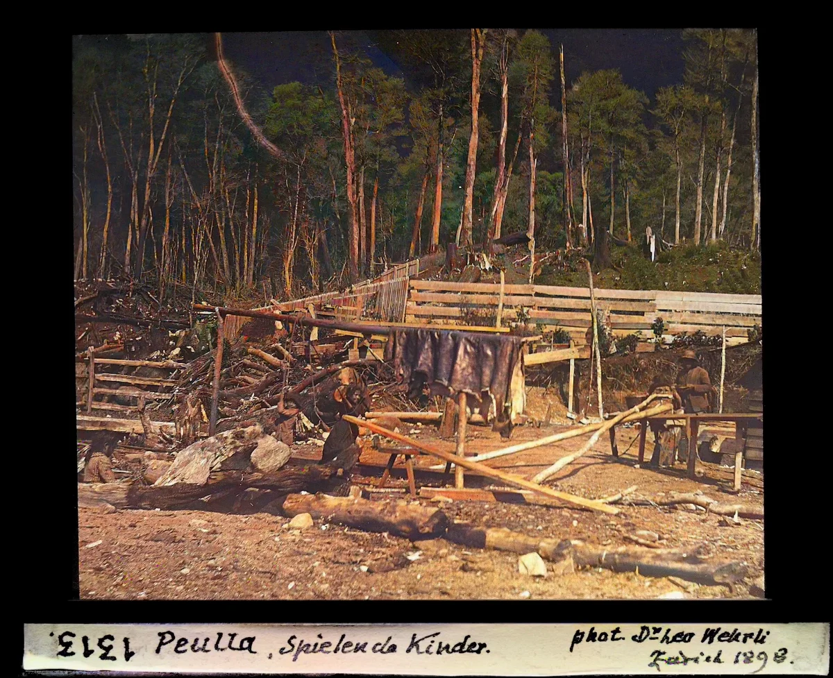 Peulla, spielende Kinder — Puerto Montt — 1898 | Chile de Ayer