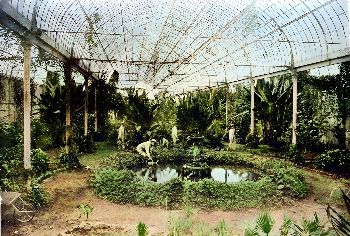 Invernadero de la Quinta Normal en 1901 — 1901 | Chile de Ayer