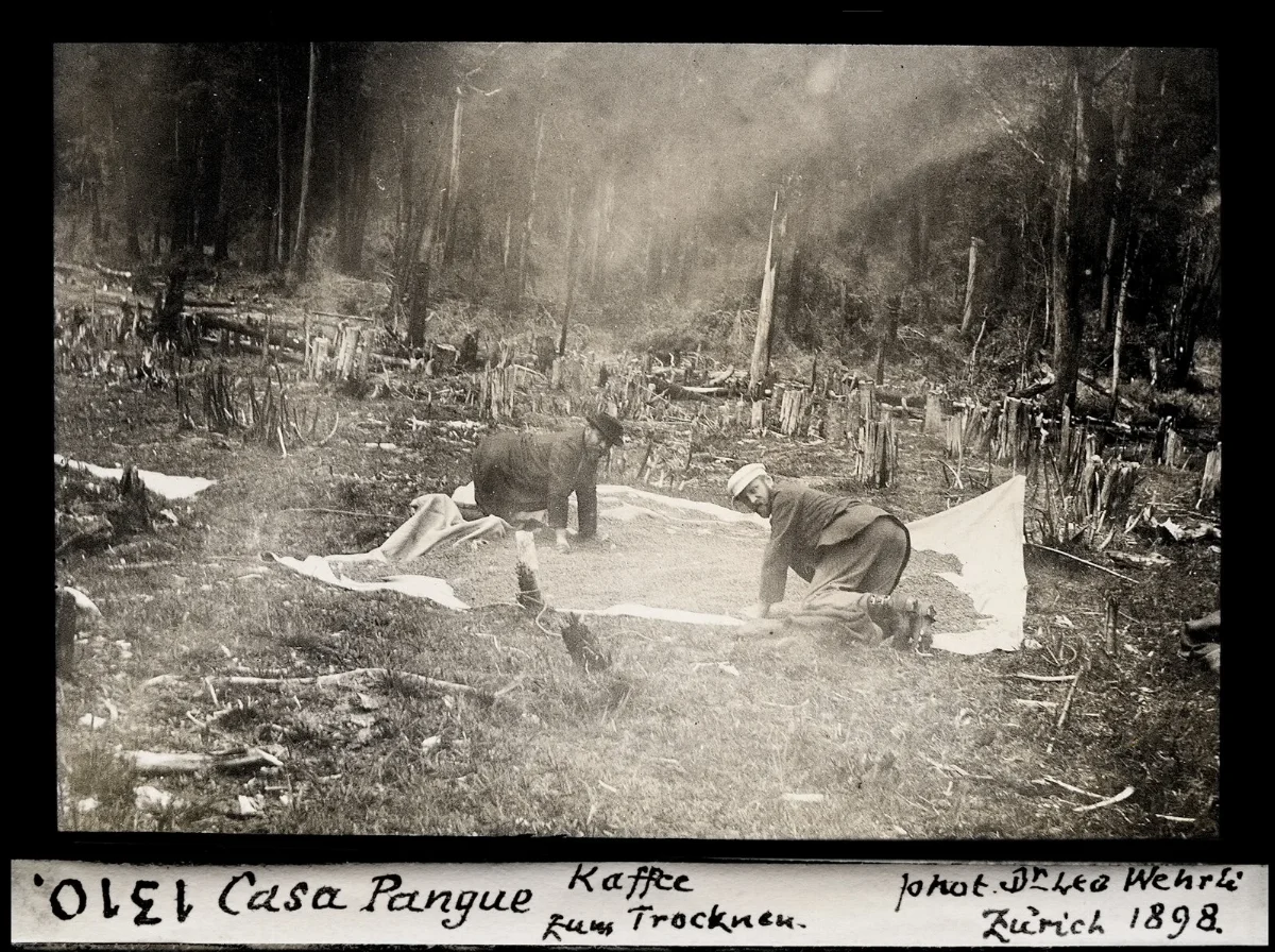 Casa Pangue, Kafee Rum Tracknen, Zurich 1898 — aprox. 1898–1940 | Chile de Ayer