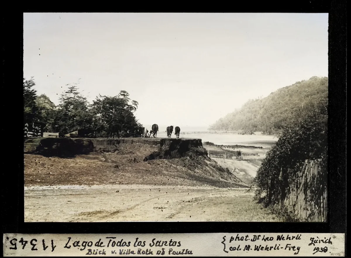 Lago Todos los Santos hacia Peulla visto desde Villa Roth con caballos en el mirador — aprox. 1938–1940 | Chile de Ayer