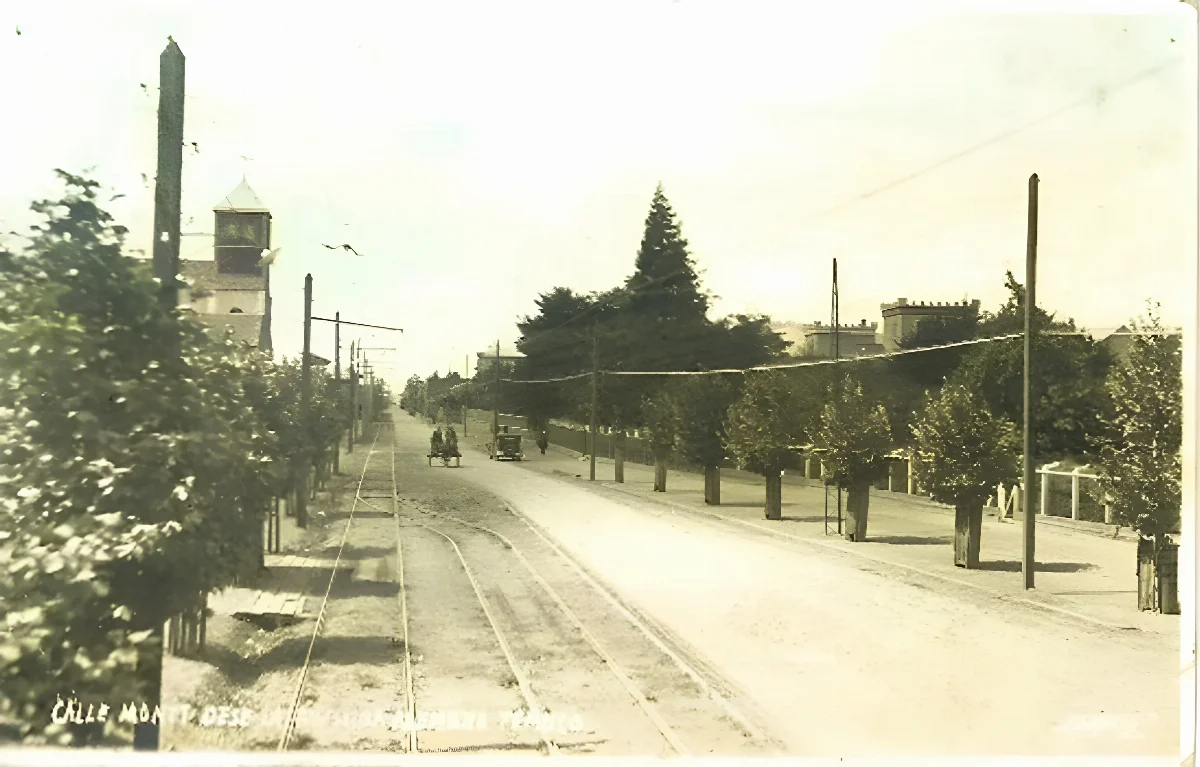 Calle Manuel Montt de Temuco, desde Avda. Alemania. — 1900 | Chile de Ayer