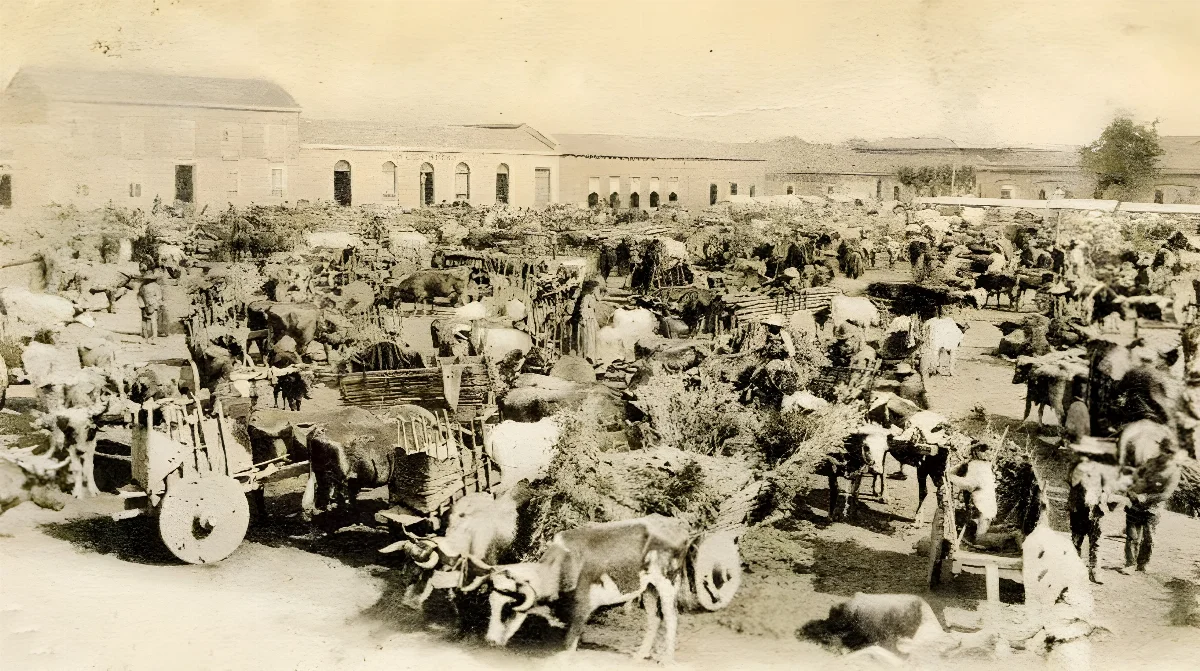 Feria de Chillán a principios de siglo XX. — 1900 | Chile de Ayer
