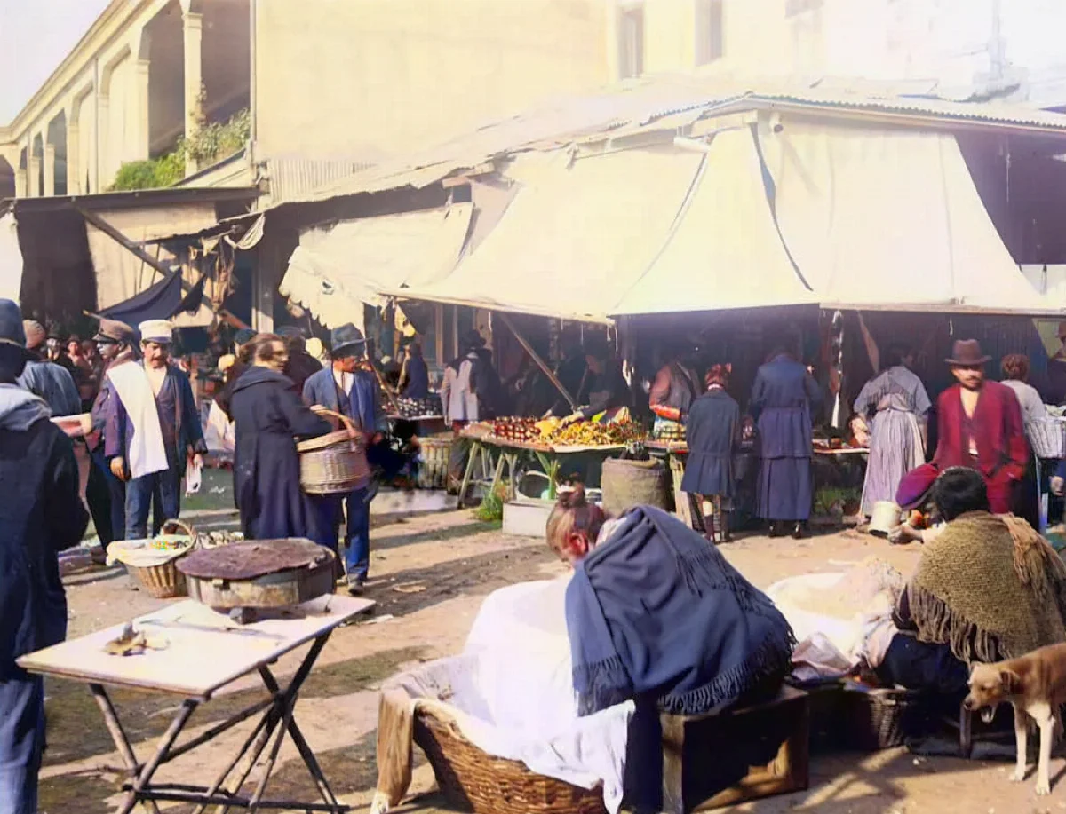 La vega del Mapocho en 1895 — Vega Central — 1895 | Chile de Ayer