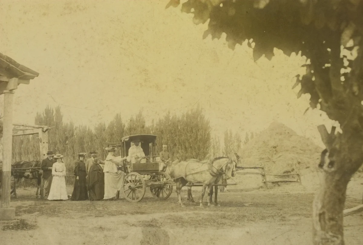 Carruaje en Limache en 1910 — 1910 | Chile de Ayer