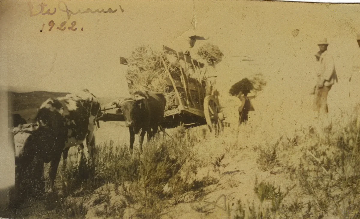 Santa Juana en 1922 — 1922 | Chile de Ayer