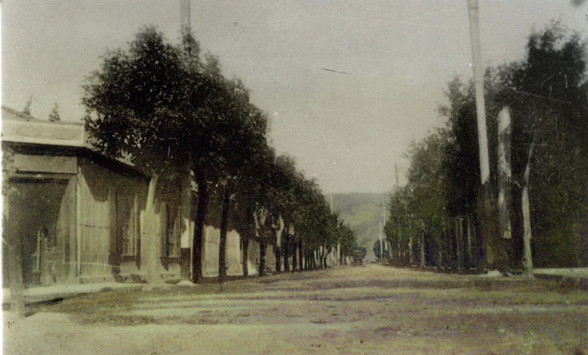 Calle Caupolicán de Angol en 1915 — Calle Caupolicán — 1915 | Chile de Ayer