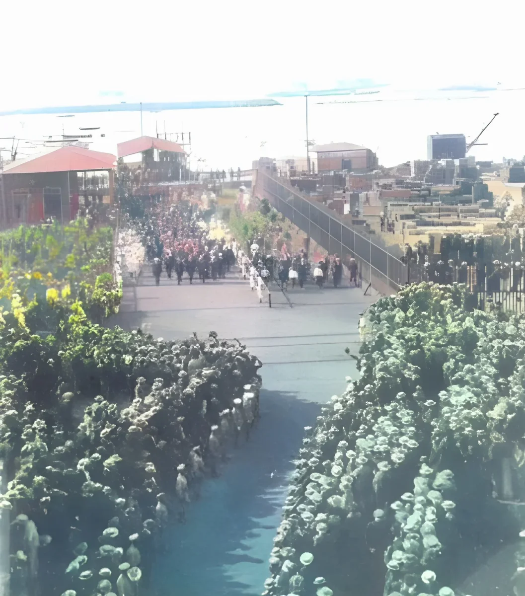 Autoridades militares en Iquique — 1907 | Chile de Ayer