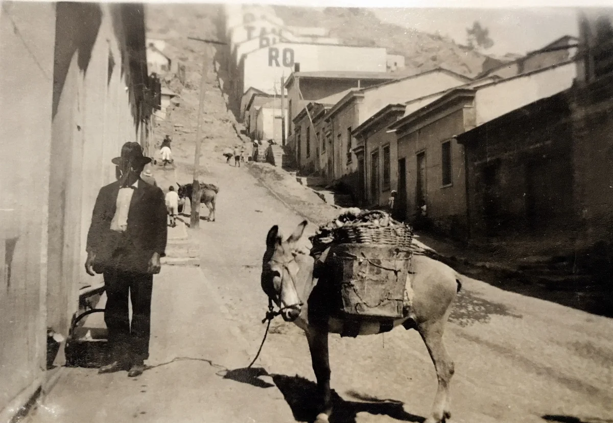 Burro en calle Freire, Coquimbo, Chile, 1918 — Calle Freire — 1918 | Chile de Ayer