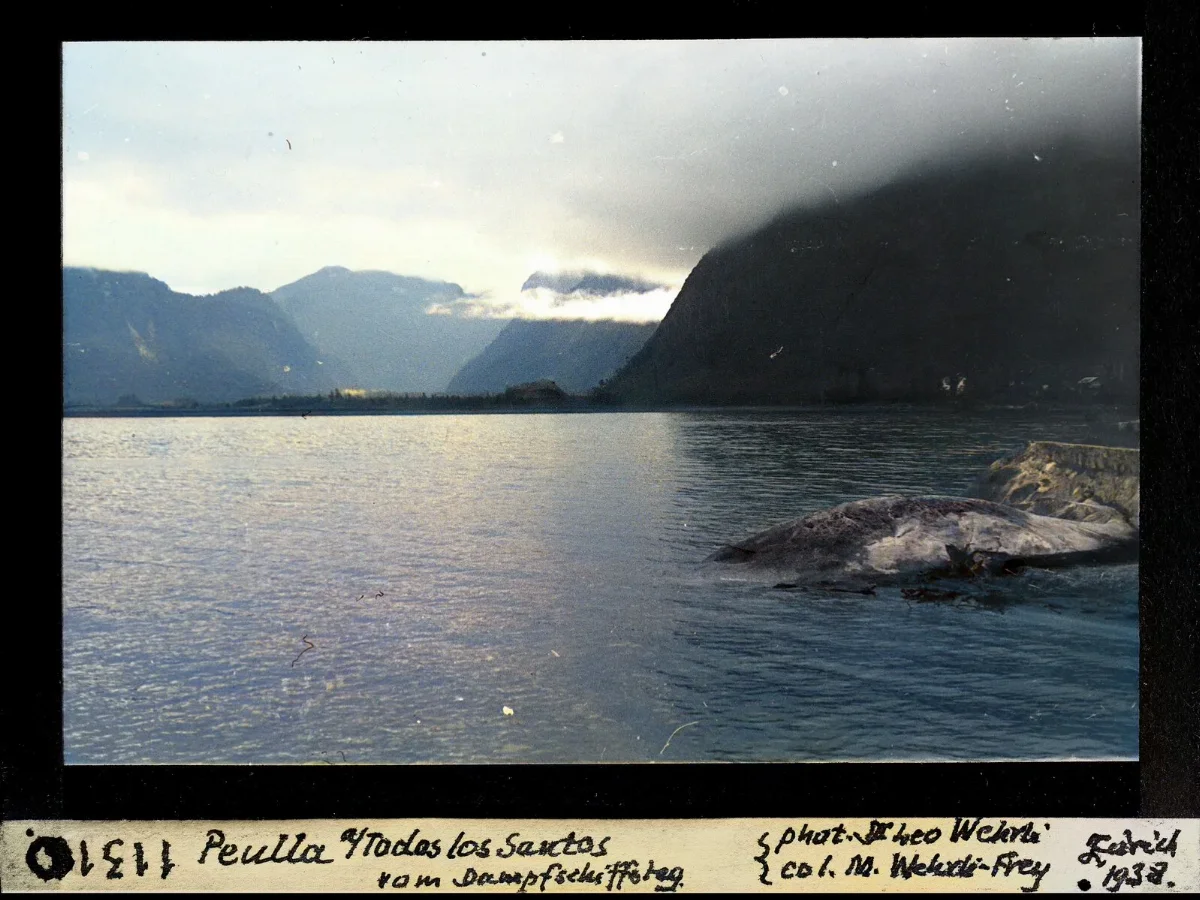 Lago Todos los Santos hacia Peulla desde el muelle del vapor, 1938 — aprox. 1938–1940 | Chile de Ayer