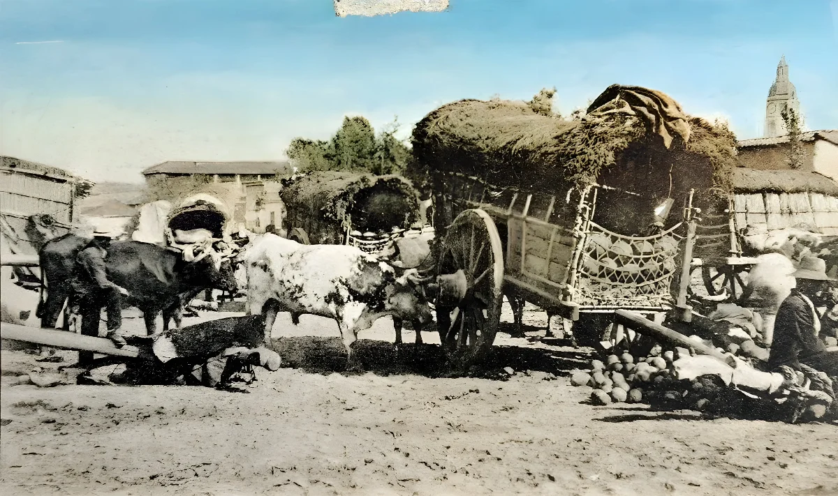 Venta de sandías en la Vega de Santiago ca. 1900 — Vega Central — 1900 | Chile de Ayer