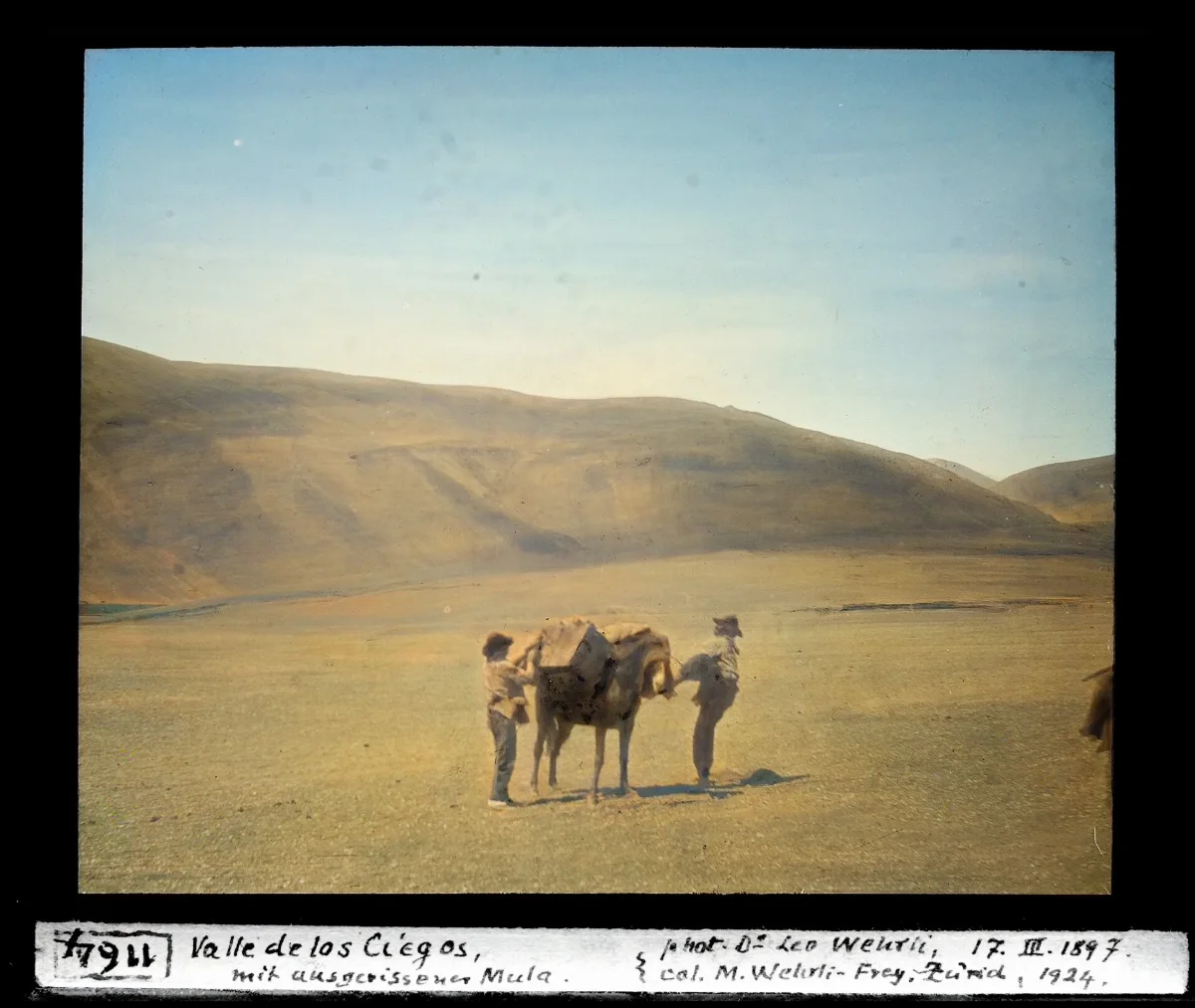 Valle de los Ciegos, mit ausgerissenem Mula — 1897 | Chile de Ayer