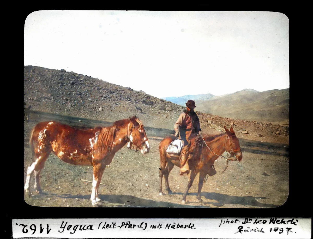 Yegua (Leit-Pferd) mit Häberli — 1897 | Chile de Ayer