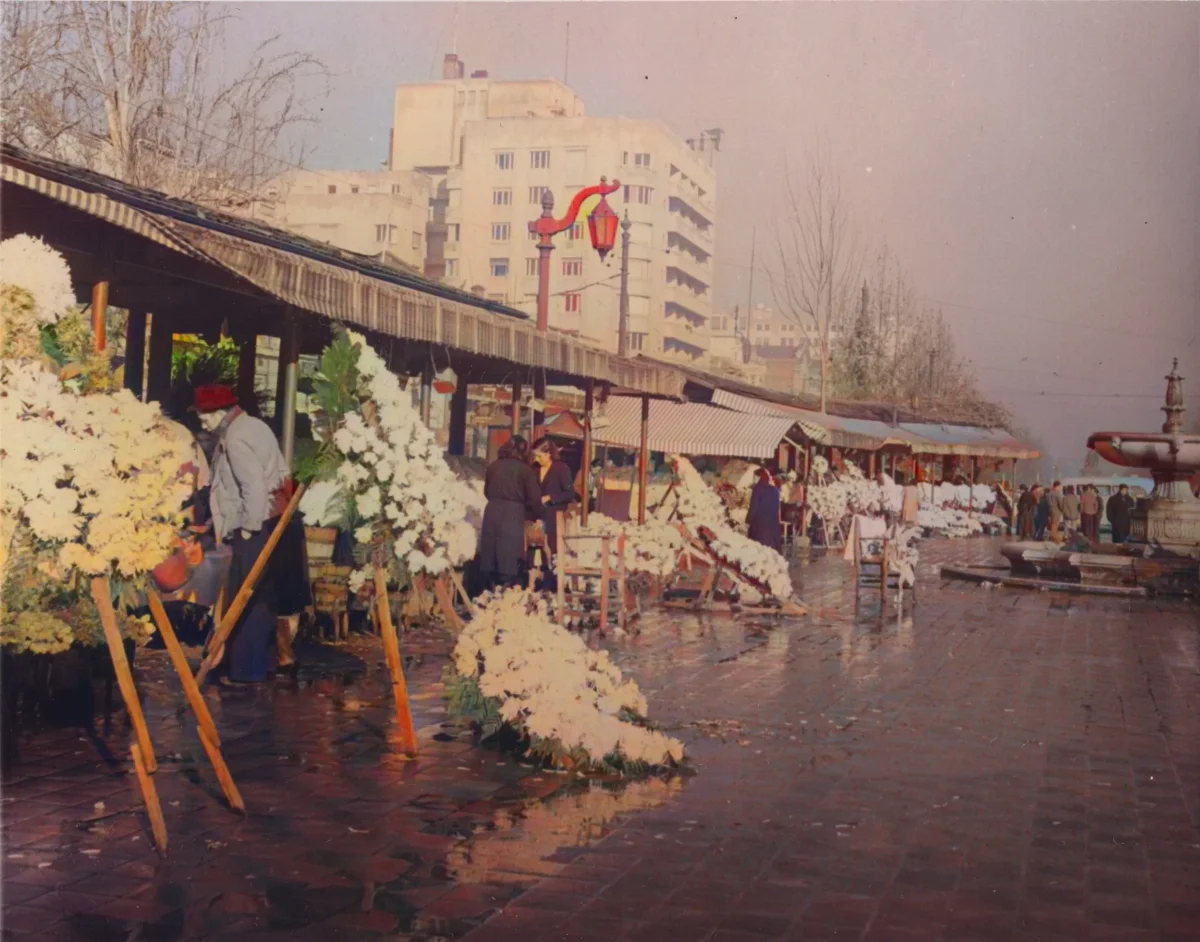 43-2549 - Flower market on Avenida O'Higgins, Santiago. Elaborate formal floral pieces on easels. — Santiago — 1941 | Chile de Ayer