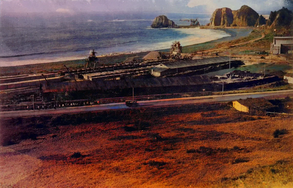 Constitución ca. 1920 — 1920 | Chile de Ayer