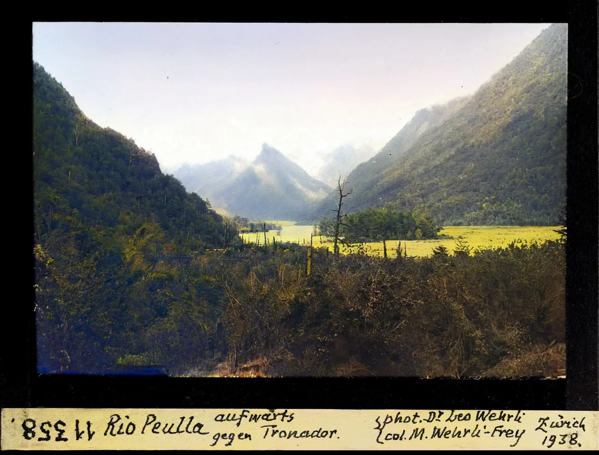 Rio Peulla aguas abajo hacia Tronador — aprox. 1938–1940 | Chile de Ayer