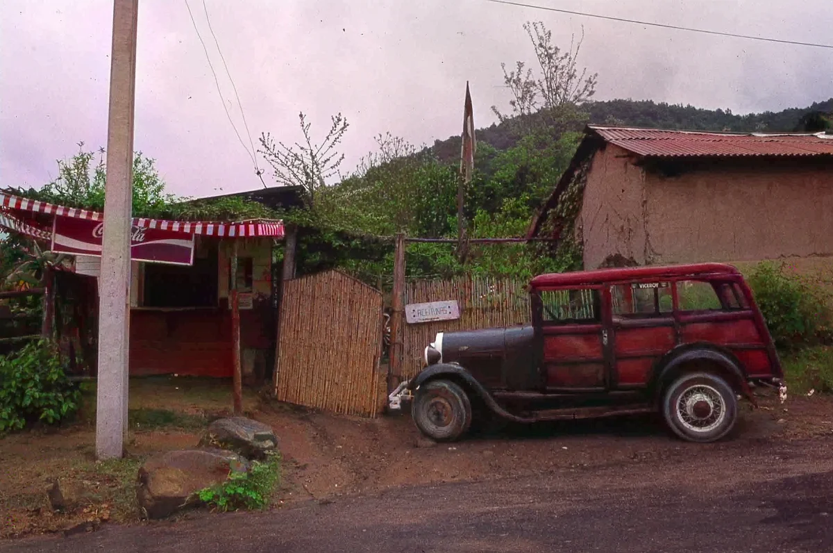 Sector Parque Nacional la Campana en los 70s — 1920 | Chile de Ayer