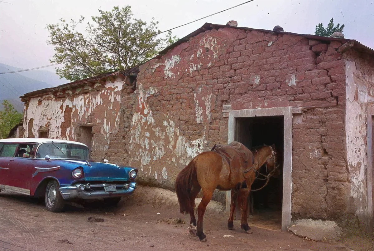 Sector Parque Nacional la Campana en los 70s — 1920 | Chile de Ayer