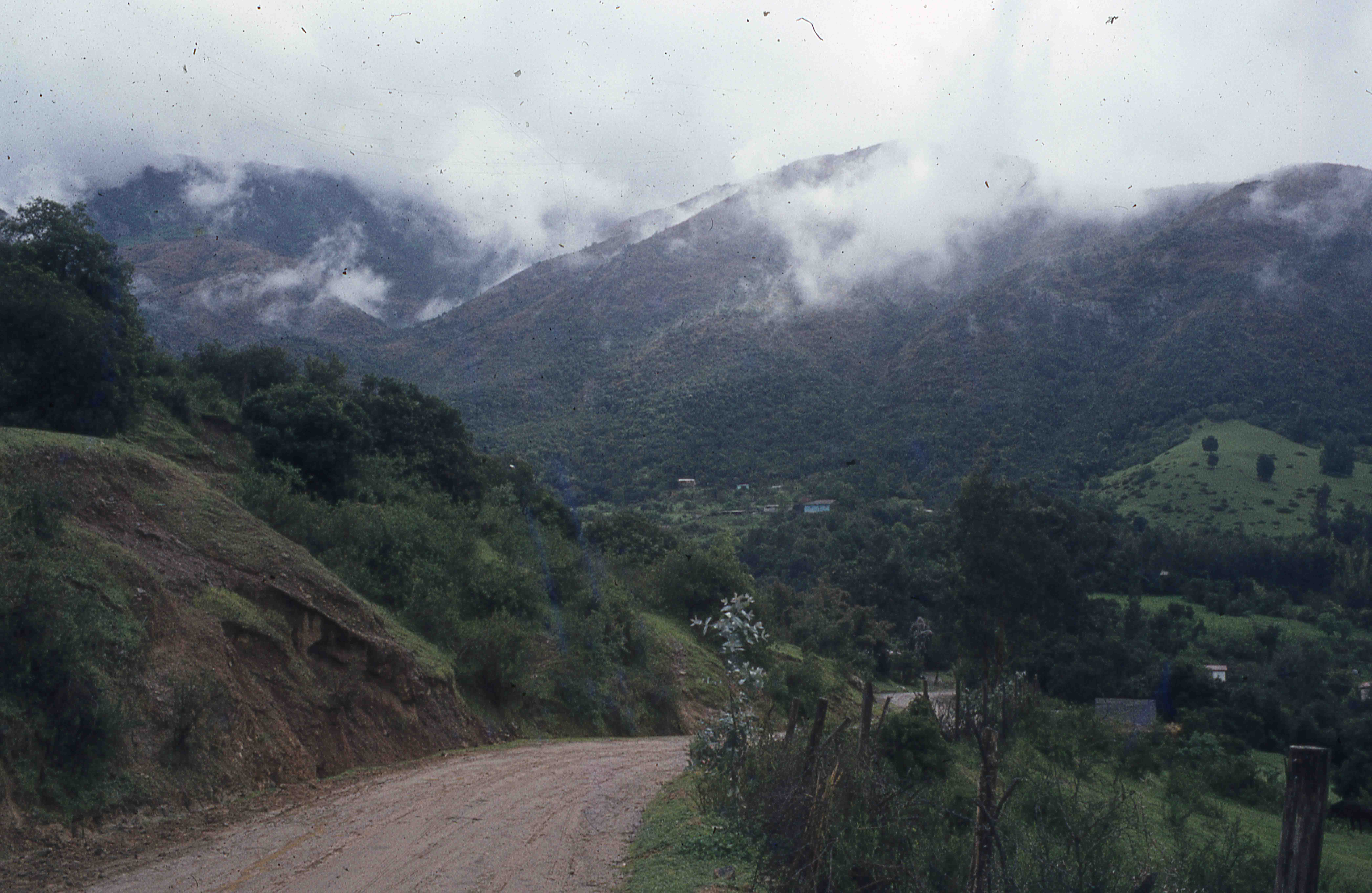 Sector Parque Nacional la Campana en los 70s — 1920 | Chile de Ayer