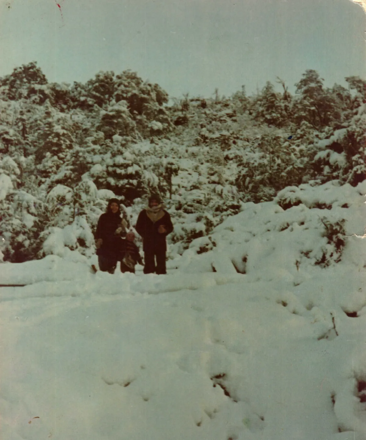 camino a antigua escuela, espacio donde hoy está iglesia catolica — Caleta Tortel — 1978 | Chile de Ayer