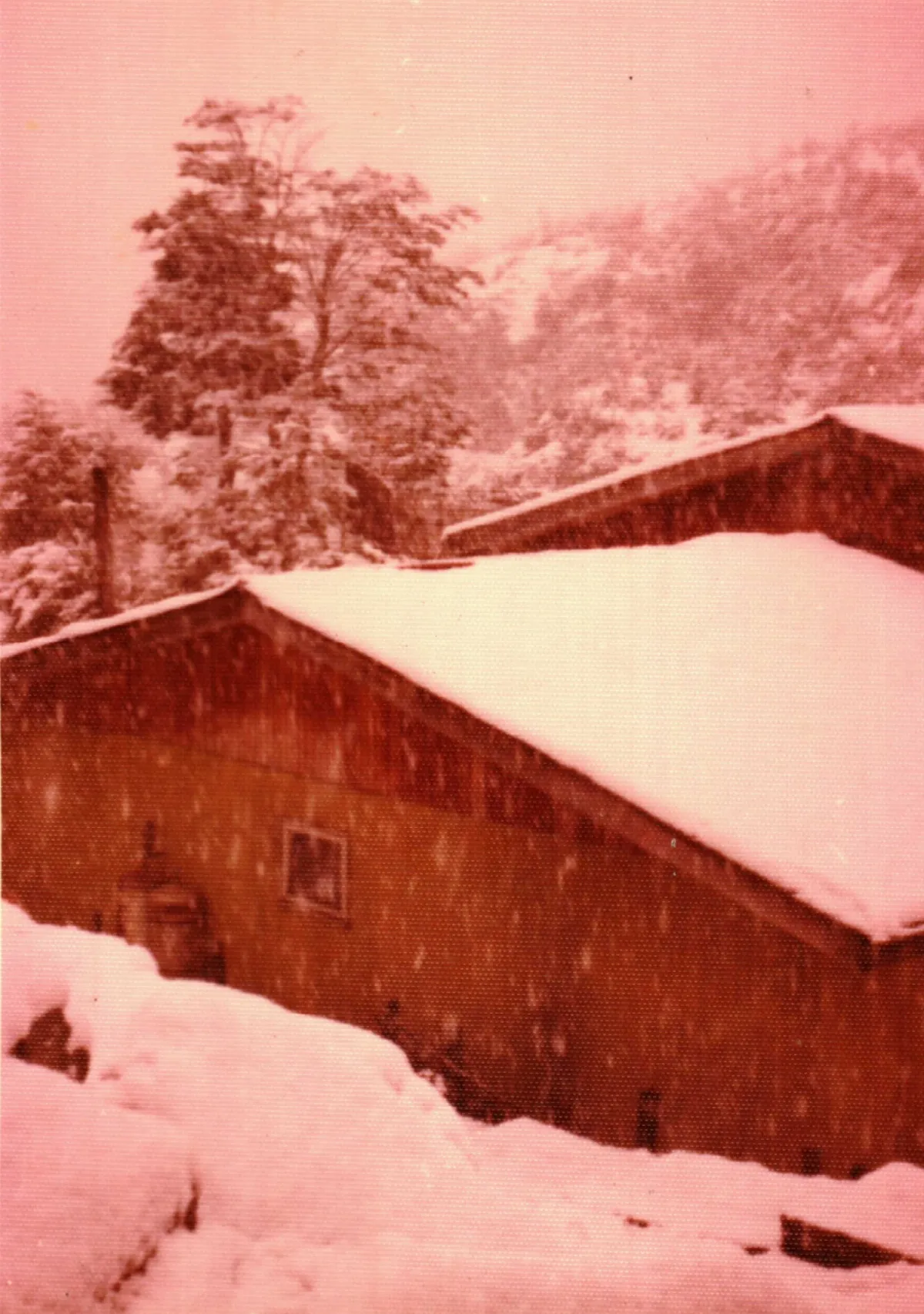 Cubierta nevada de vivienda funcionario ECA — Caleta Tortel — 1977 | Chile de Ayer