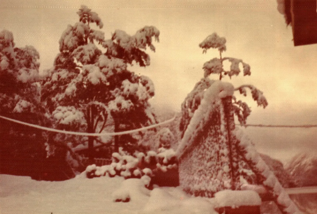 Nevazon en tortel — Caleta Tortel — 1977 | Chile de Ayer