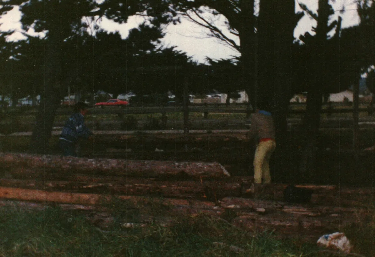 acopiando madera en sitio de ASOGREMA — Punta Arenas — 1990 | Chile de Ayer