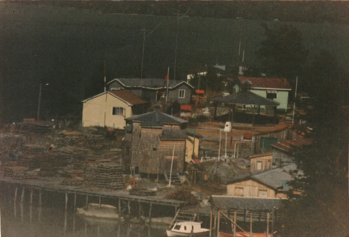 vista de tortel — Caleta Tortel — aprox. 1986 | Chile de Ayer