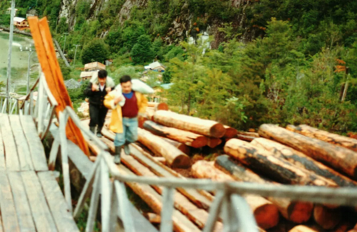 traslado de postes de la escuela — Caleta Tortel — 1996 | Chile de Ayer