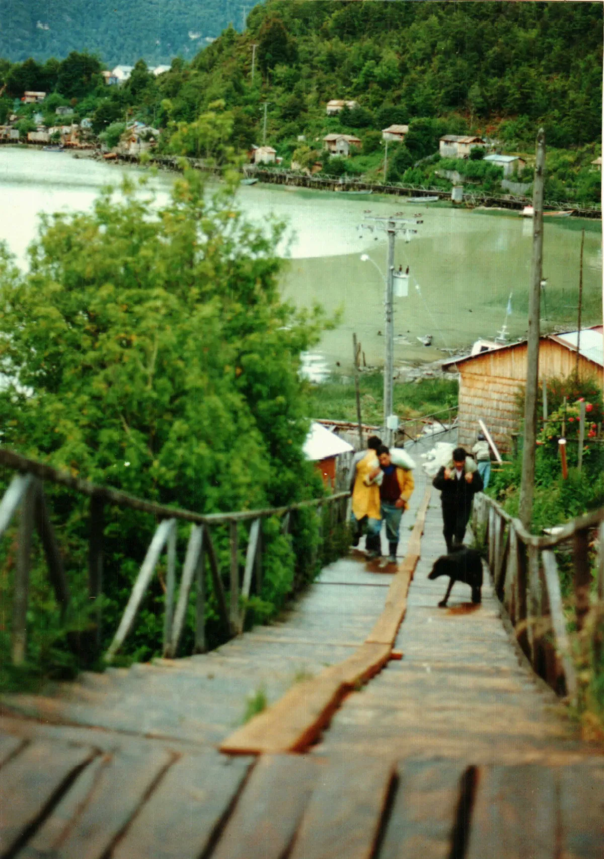 traslado de postes de la escuela — Caleta Tortel — 1996 | Chile de Ayer
