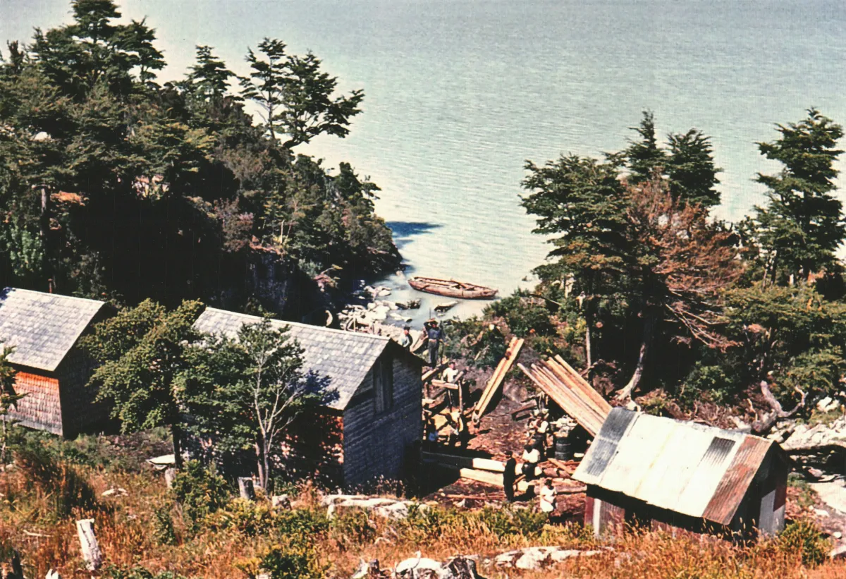 Casas y Minga Construccion — Caleta Tortel — 1963 | Chile de Ayer