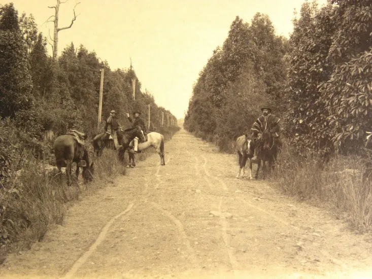 Camino a Puerto Octay en 1893. — 1893 | Chile de Ayer
