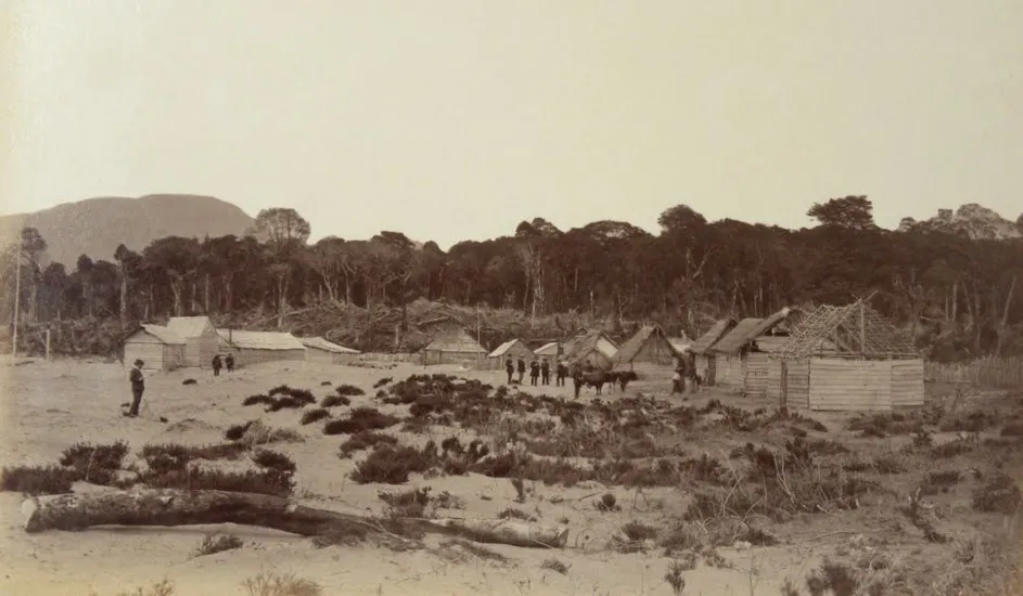 Vista a Palena desde el Norte en 1893. — 1893 | Chile de Ayer