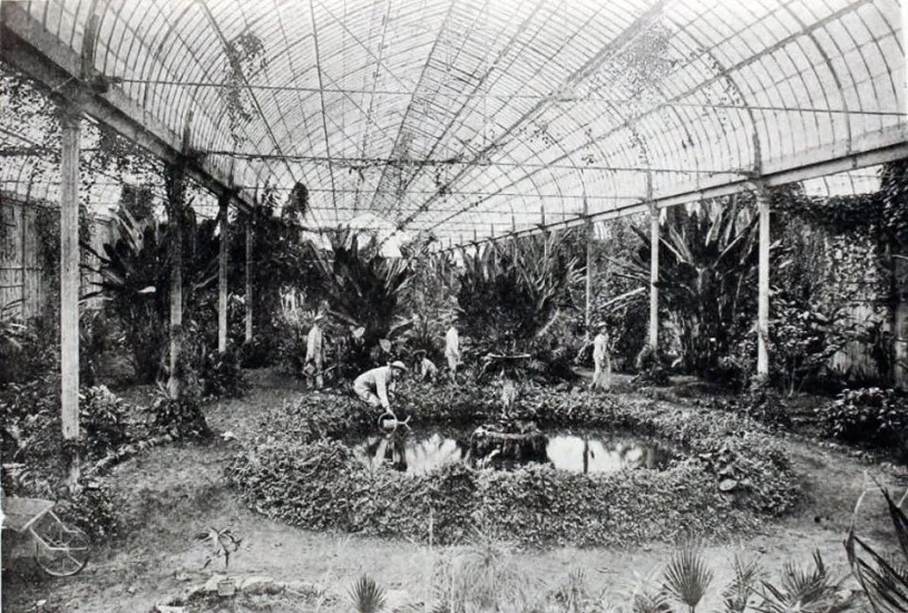 Invernadero de la Quinta Normal en 1901 — 1901 | Chile de Ayer