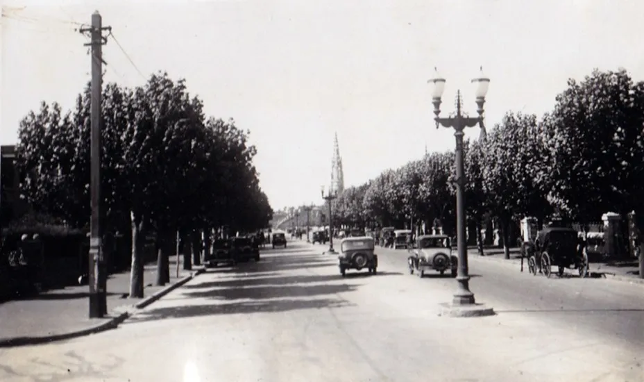 Avenida Libertad de Viña del Mar, 1920. — 1920 | Chile de Ayer