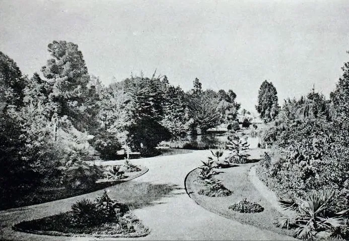 Parque quinta normal — Parque Quinta Normal — 1901 | Chile de Ayer
