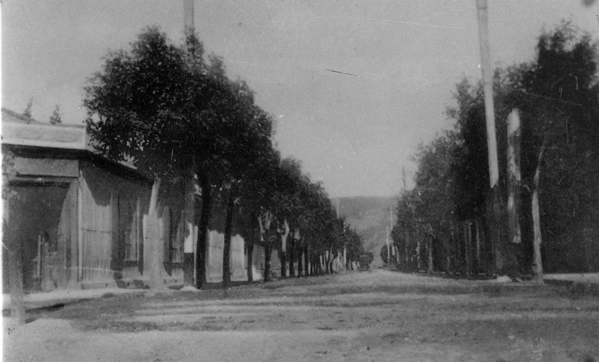 Calle Caupolicán de Angol en 1915 — Calle Caupolicán — 1915 | Chile de Ayer