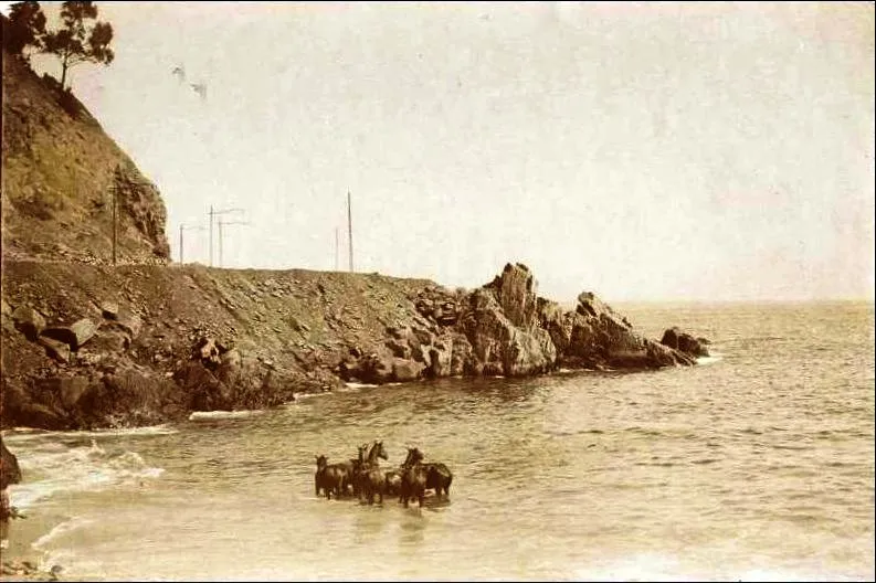 Caleta El Membrillo en 1905 — Caleta El Membrillo — 1905 | Chile de Ayer